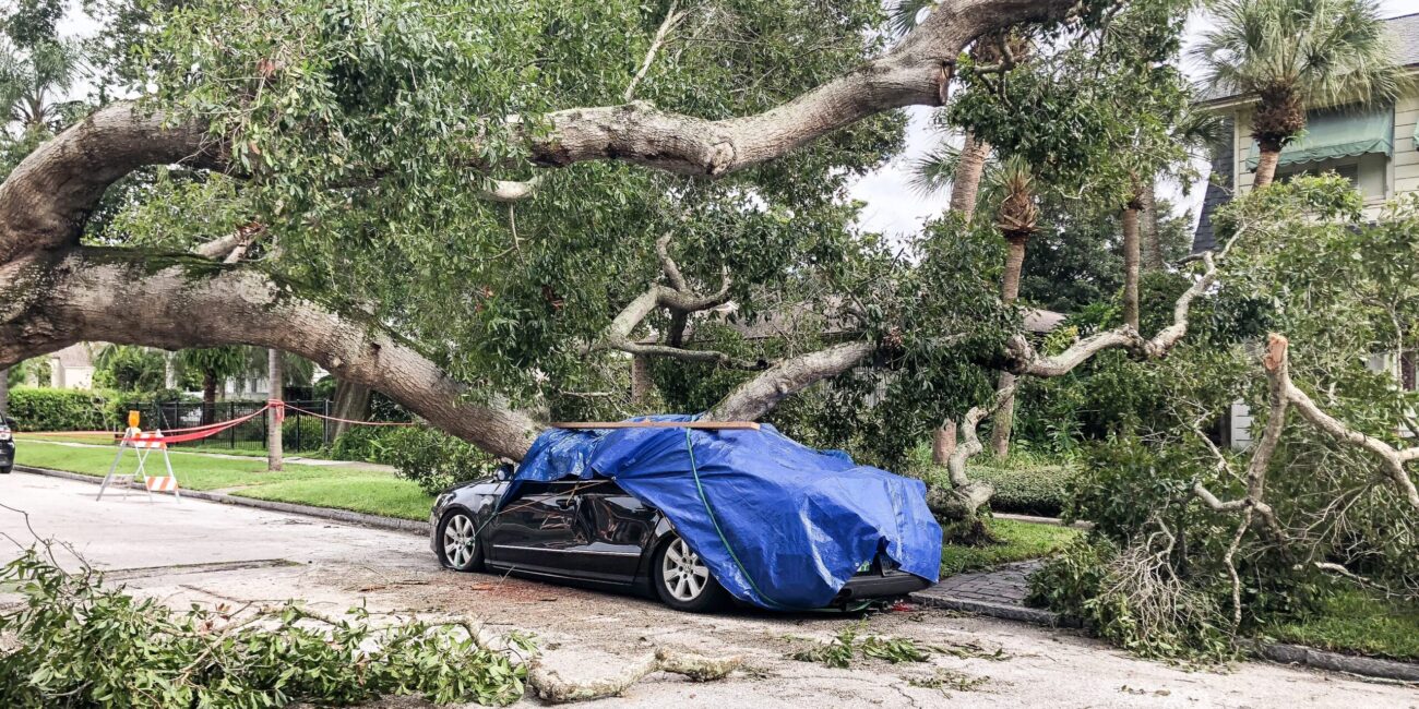 hurricane damage, tree fallen on car